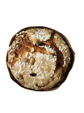 Carica l'immagine nel visualizzatore di Gallery, Panettone Geracese al Greco di Gerace Passito - Sapuri Calabrisi