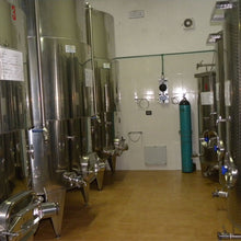 Afbeelding in Gallery-weergave laden, Greco di Bianco D.O.C. - Tenuta Dioscuri 2009 - Sapuri Calabrisi