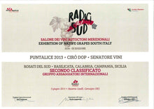 Laden Sie das Bild in den Galerie-Viewer, Puntalice BIO - DOP Cirò Rosato 2019 - Sapuri Calabrisi