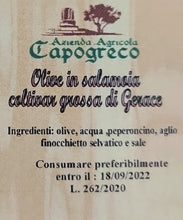 Laden Sie das Bild in den Galerie-Viewer, Olive in salamoia alla calabrese GP1 - Sapuri Calabrisi
